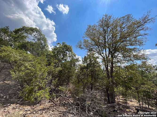 1359 Trailhead New Braunfels, TX 78132
