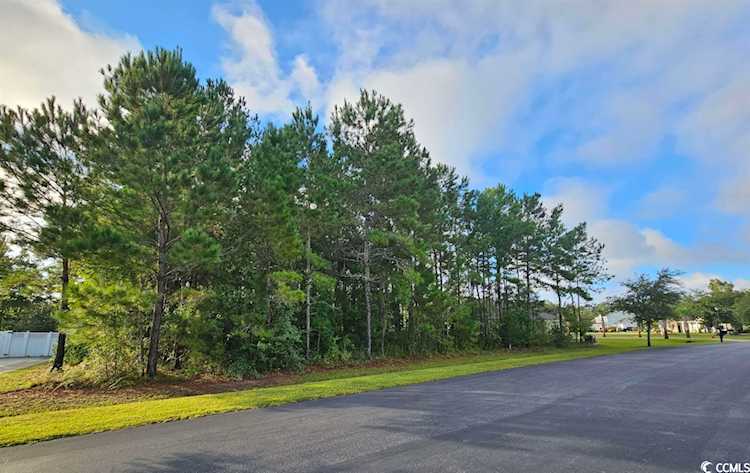 141 Planters Creek Dr. Myrtle Beach, SC 29579