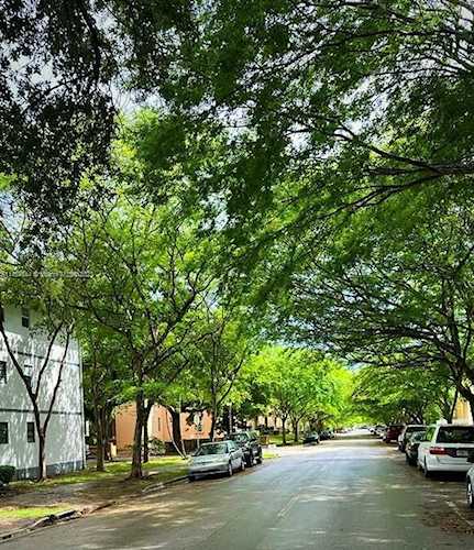 1110 Salzedo St #1B Coral Gables, FL 33134