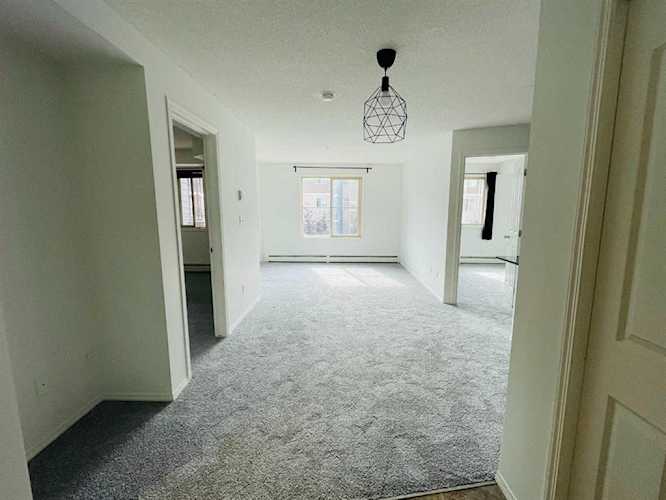 7110 80 Ave NE #317 Calgary, AB T3j0n4