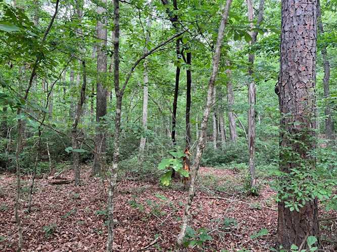 Address Withheld Lynch Station, VA 24571