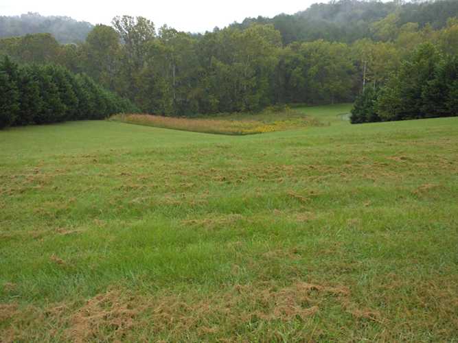 Lot 8 Park Vista Buchanan, VA 24066