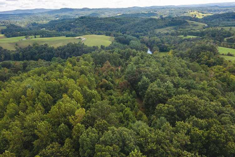0 Laurel Mill Ridge Riner, VA 24149