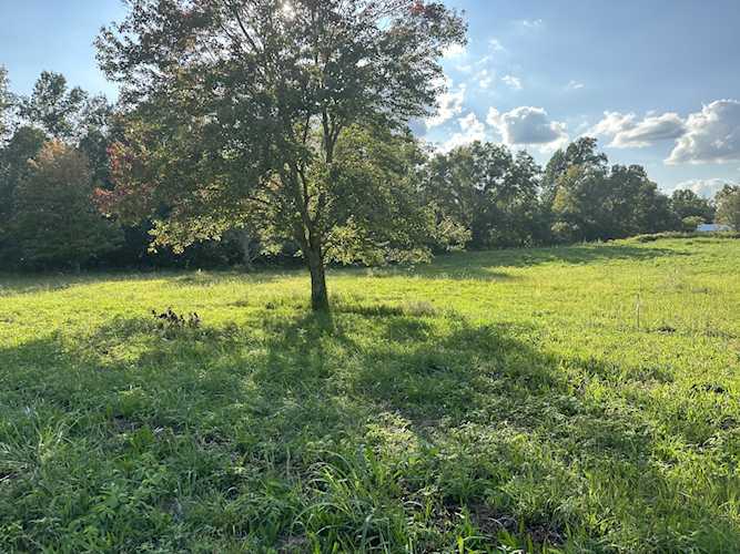 0 Clarksville Pike Joelton, TN 37080
