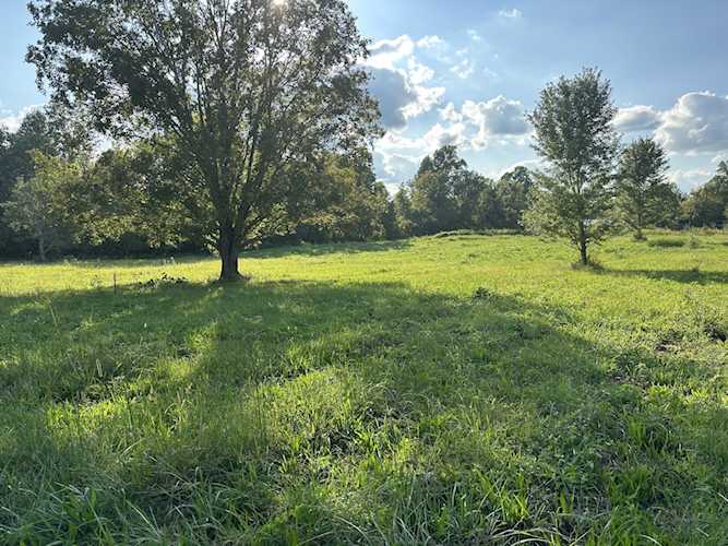 0 Clarksville Pike Joelton, TN 37080