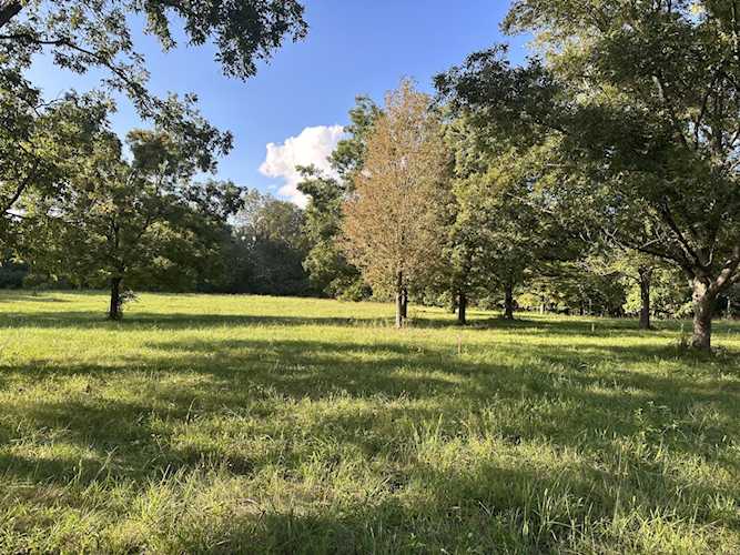 0 Clarksville Pike Joelton, TN 37080