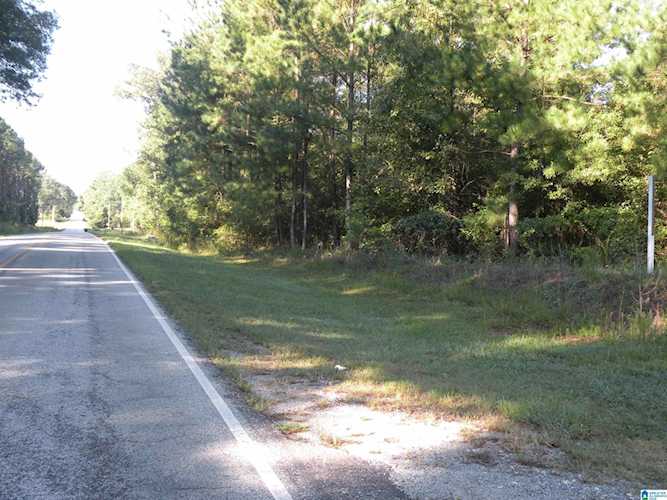 Grist Mill Road #001 Childersburg, AL 35044