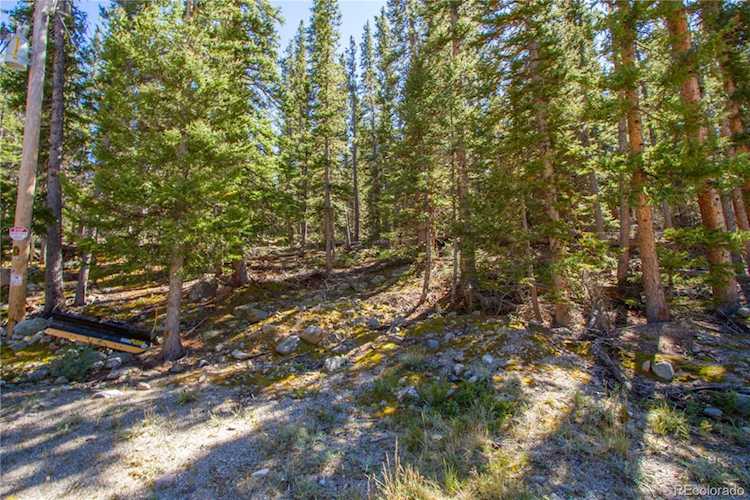 344 Orphan Boy Alma, CO 80420