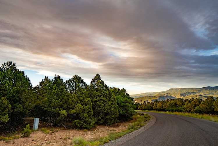 31 W Cedar Lane W Ln Ridgway, COLORADO 81432