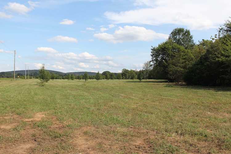 11239 Karo Rd Bell Buckle, TN 37020