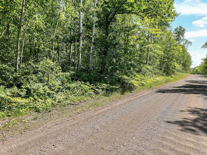 25xA Vermilion Road Duluth, MN 55804