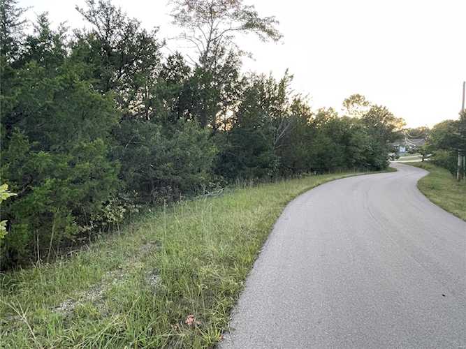 0 Napoleon Dr Bonne Terre, MO 63628