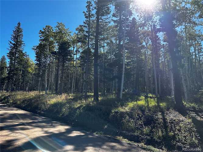 2652 Petito Dr Fort Garland, CO 81133