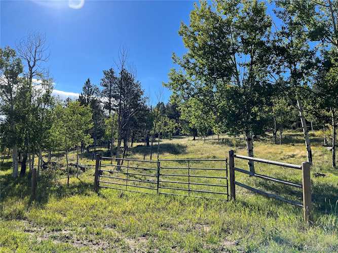 Homestake Place Florissant, CO 80816