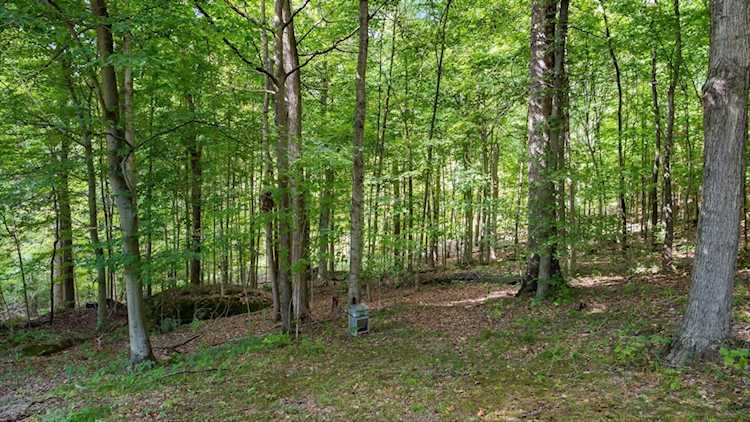 0 Poplar Drive Nashport, OH 43830