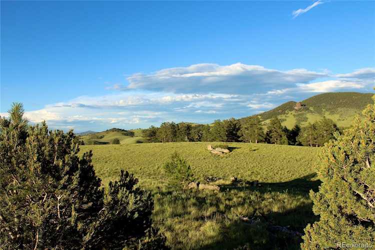 Aspen Meadows Ln Guffey, CO 80820