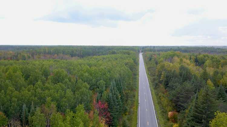 XXX Industrial Avenue Littlefork, MN 56668