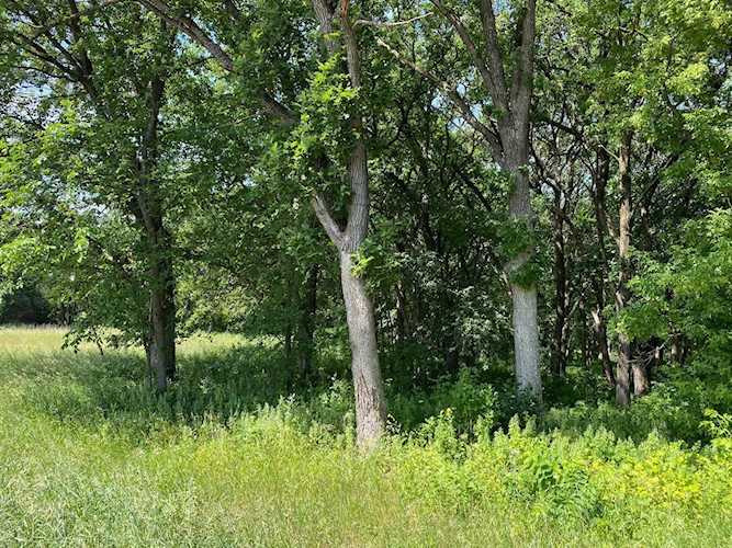L2 B2 54th Street SE Clear Lake, MN 55319