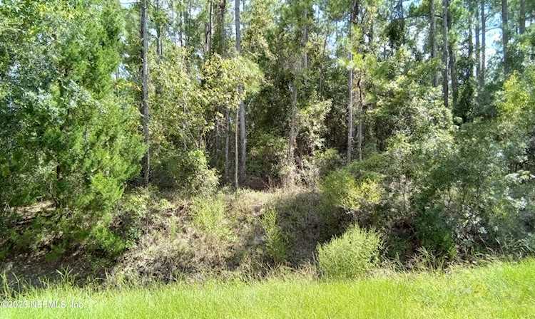 4415 Olga ST Hastings, FL 32145