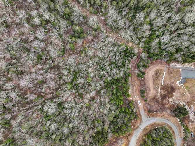 Lot 3 Terrence Bay Road Terence Bay, NS B3T 1X2