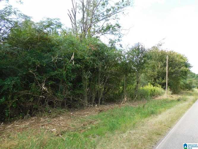 1409 Creswell Road #0 Harpersville, AL 35078