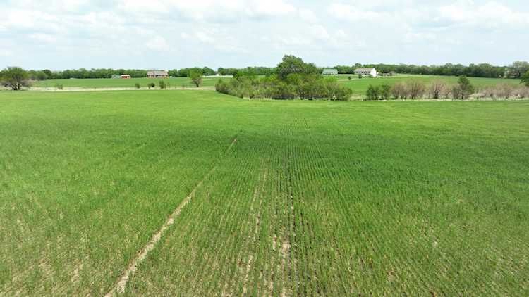 Lot 2 Block 3 Dry Creek Estates Goddard, KS 67052