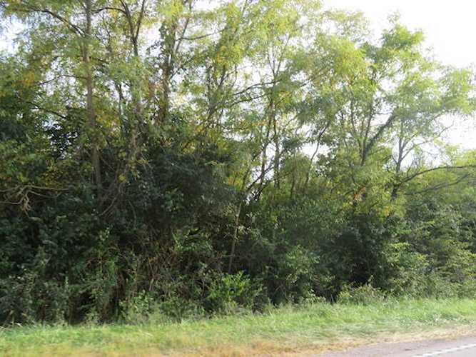 6705 Mount Sterling Rd Winchester, KY 40391 MLS 23018373