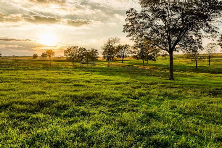 TBD Sunny Hills Lot 32 Dr Chappell Hill, TX 77426