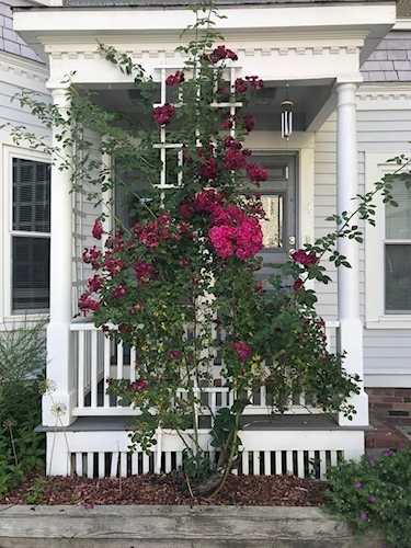 4 Porter Circle Cambridge, MA 02140