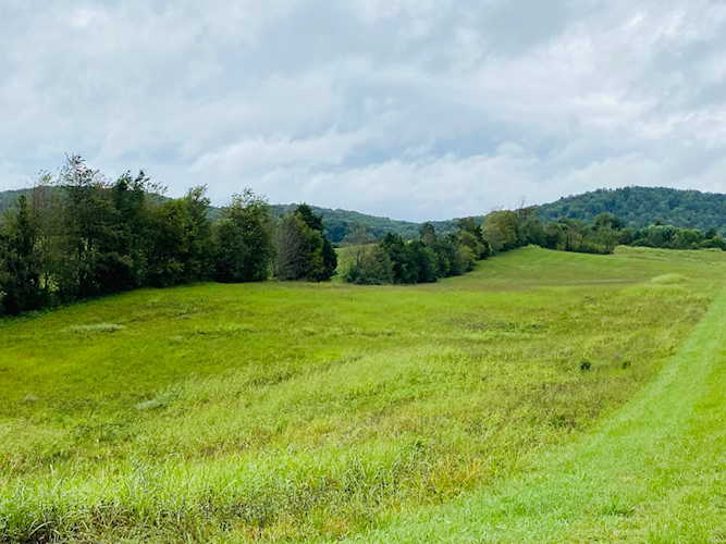 31 Lighthouse Estates Monticello, KY 42633