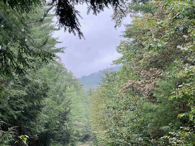 Map 26 Lot 28 Moose Mountain Rd Middleton, NH 03887