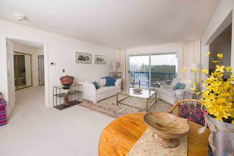 100 Thorndale Drive #319 San Rafael, CA 94903