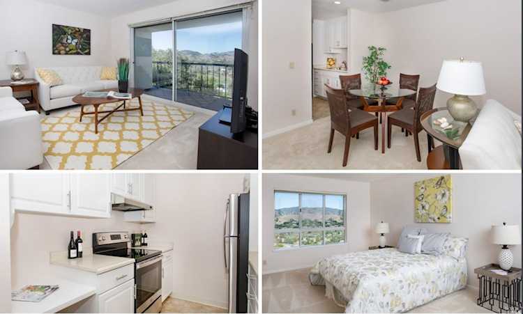 100 Thorndale Drive #252 San Rafael, CA 94903
