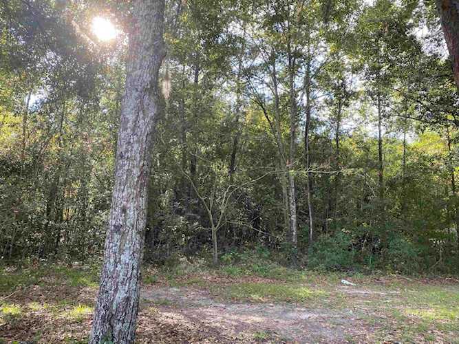 xx Fleischmann Road Tallahassee, FL 32308