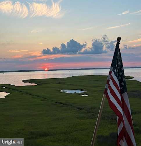 Tritons Trumpet - 7901 Coastal Hwy #B404 Ocean City MD Photo 1