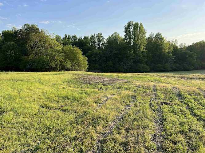 2130 Cane Mill Road Coats, NC 27521 lot for sale, MLS#2506051 - My Integra Realty Photo 1
