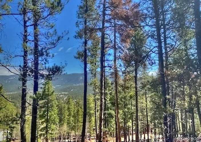 Jefferson Real Estate