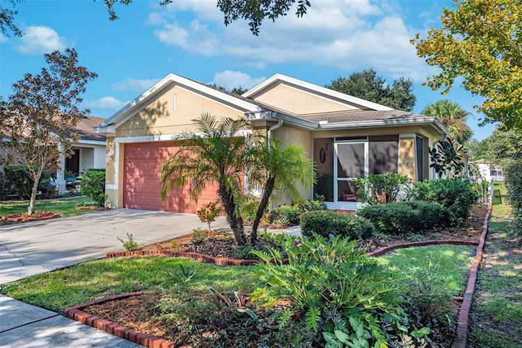 11307 Palm Island Ave Riverview, FL 33569