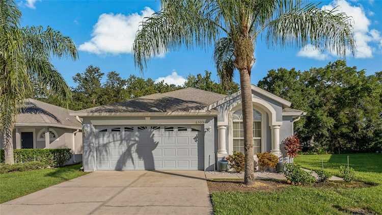 6505 Gentle Ben CIRCLE Wesley Chapel, FL 33544