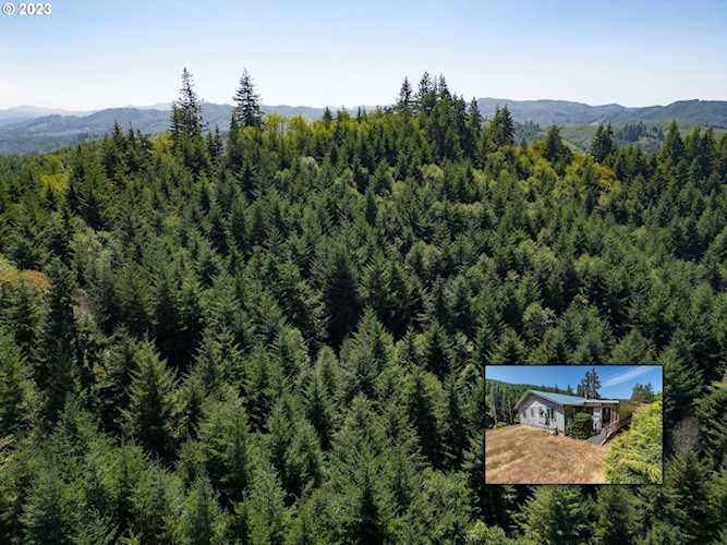 92433 Ward Creek LN Myrtle Point, OR 97458