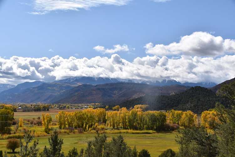 TBD County Road 24 #2 Ridgway, COLORADO 81432