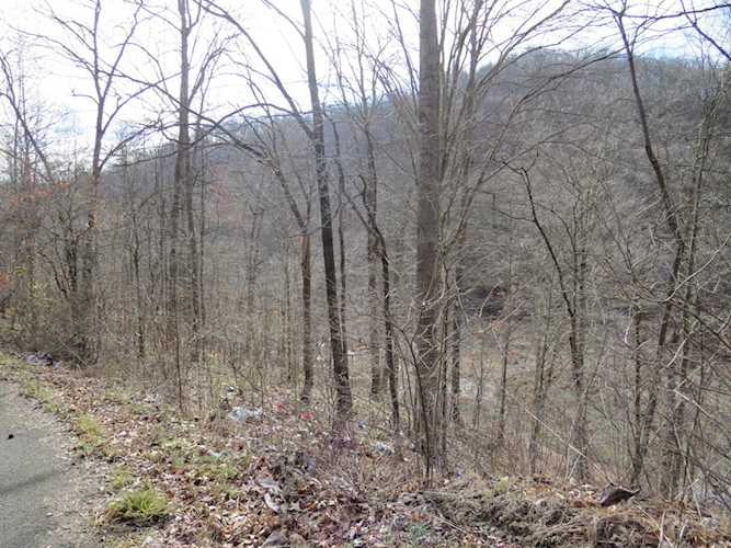 9999 Bell Fork Rd, Flat Lick KY 40935, MLS 23001463