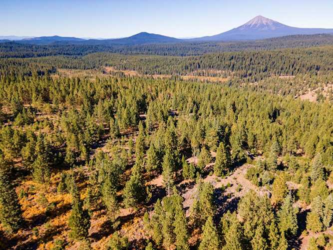 Dead Indian Memorial Rd Ashland, OR 97520