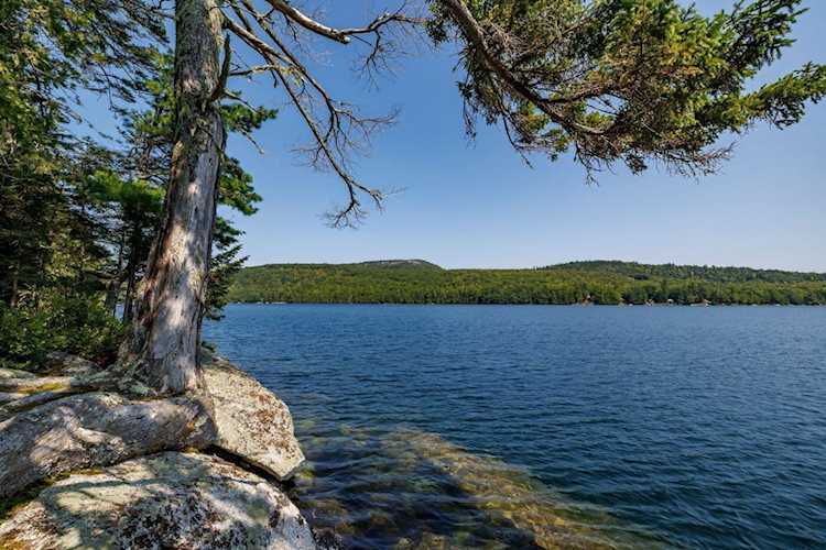 Lot 1 & 2 Craig Pond Trl Orland, ME 04472