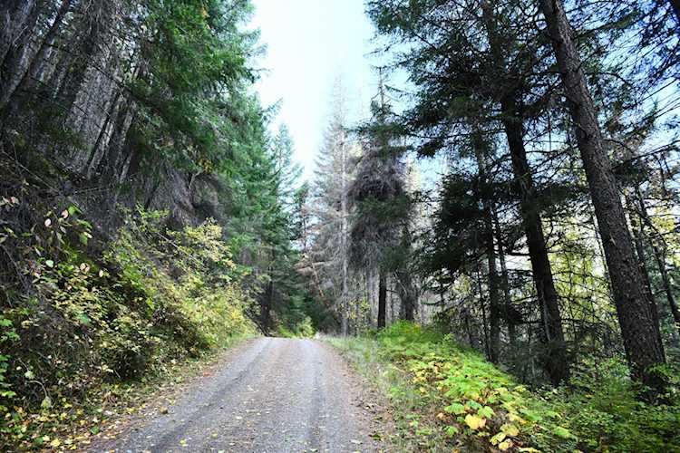 0 Wagner Gap Rd Talent, OR 97540