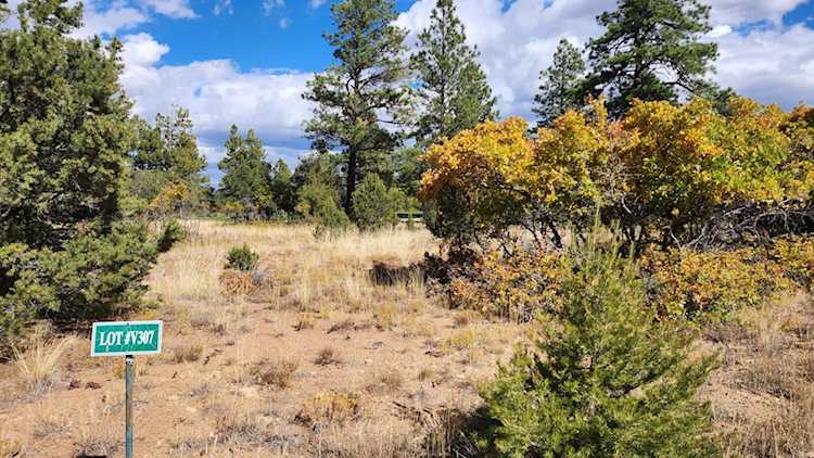 1640 Marmot Dr #V307 Ridgway, COLORADO 81432
