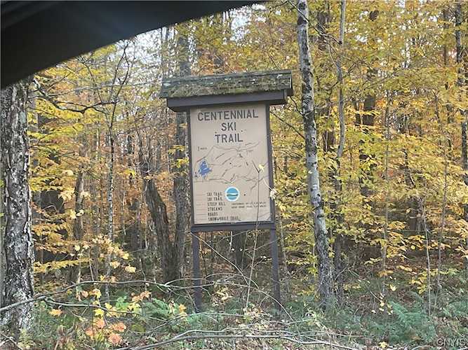 6295 Partridgeville Rd Brantingham, NY 13312 MLS S1506657