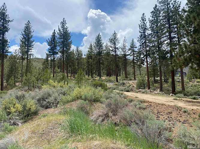Franktown Washoe Valley, NV 89704