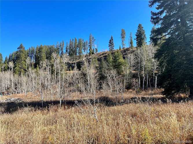 56720 Lupine Ct Clark, CO 80428