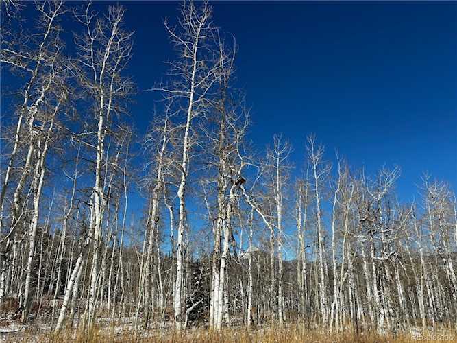 26865 Linda Kay Place Clark, CO 80428